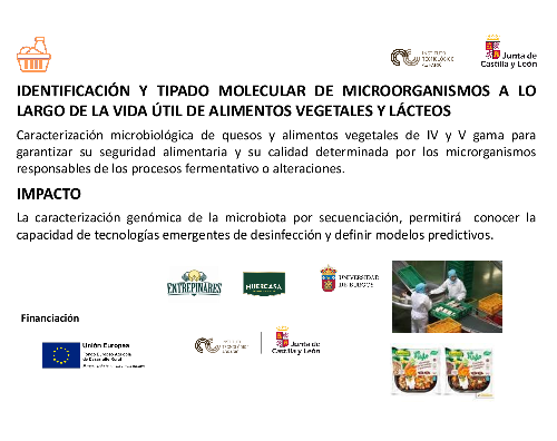 Identificación y tipado molecular de microorganismos a lo largo de la vida útil de alimentos vegetales y lácteos (IDMICRO)